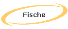 Fische
