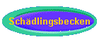 Sch�dlingsbecken